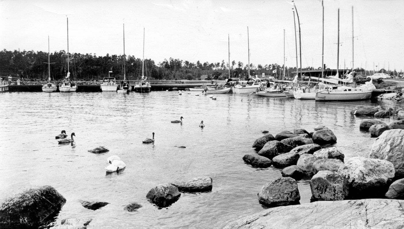 Badhusviken