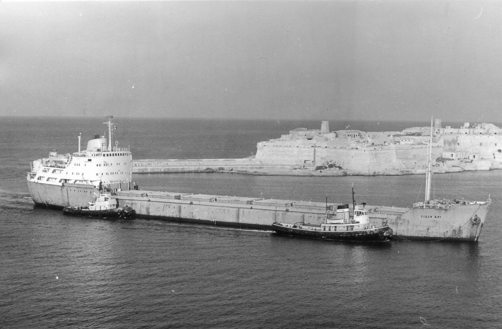 M/S TIiger Ray