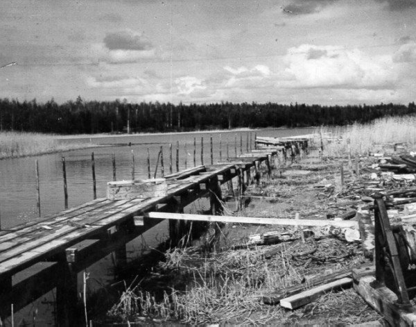 Oxelöviken