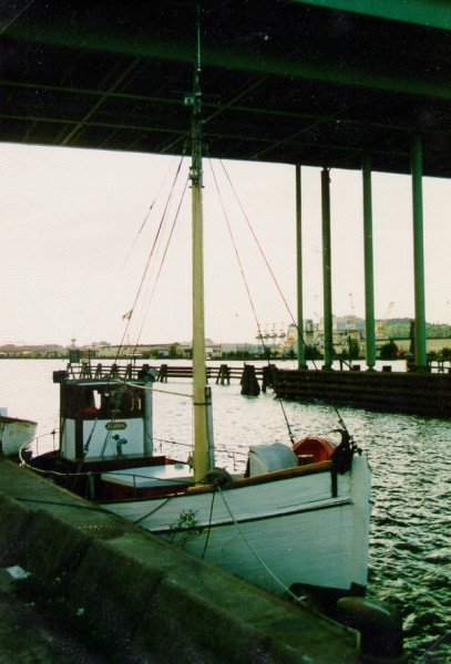 NG 53 ZENOBIA