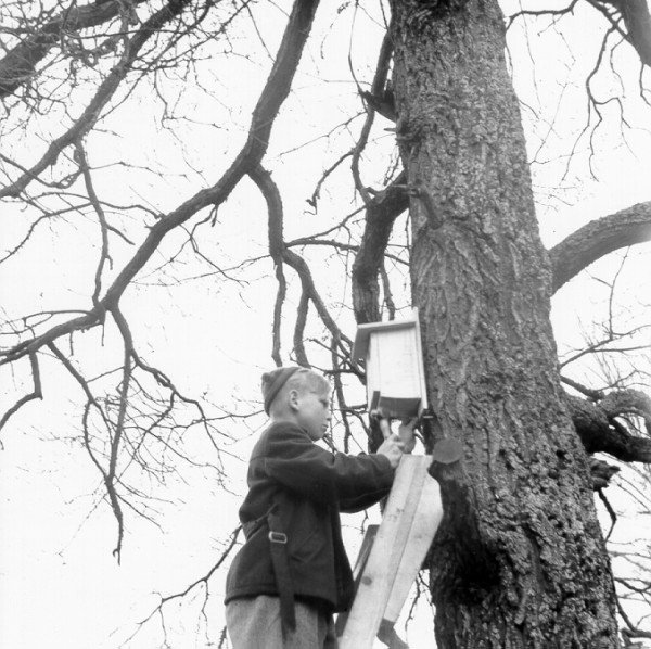 Fågelholksuppsättning