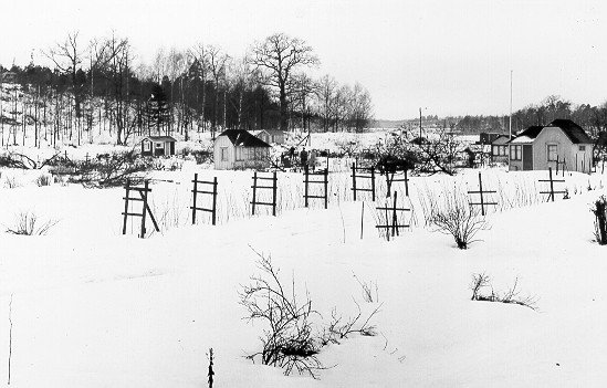 Dalgångens koloniområde