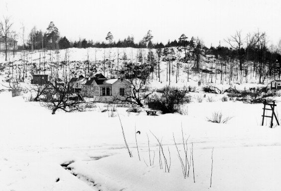 Dalgångens koloniområde