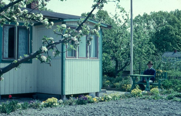 Dalgångens koloniområde
