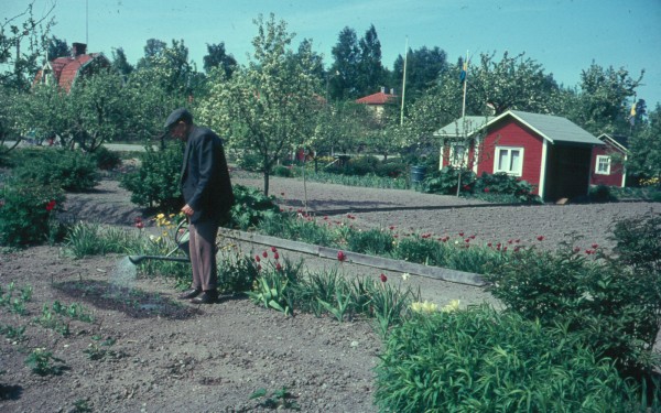 Dalgångens koloniområde