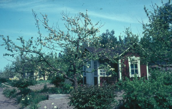 Dalgångens koloniområde Harald Vollmers stuga