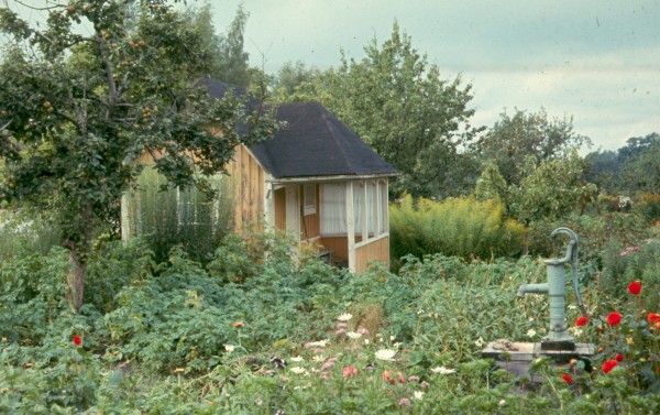 Dalgångens koloniområde