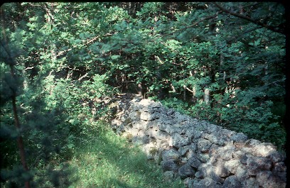 Stenmur på Bjurshalsen
