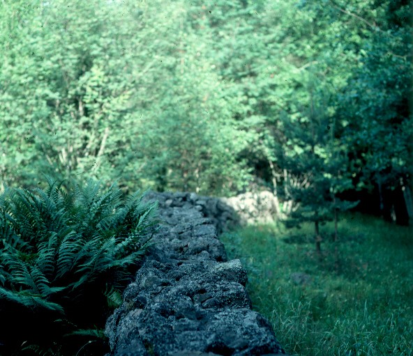 Stenmur på Bjurshalsen