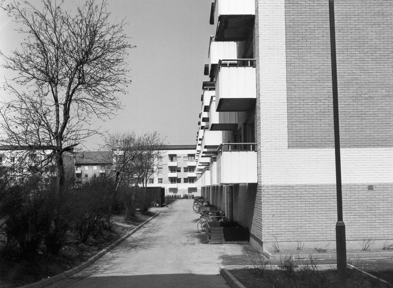 Thorsgatan