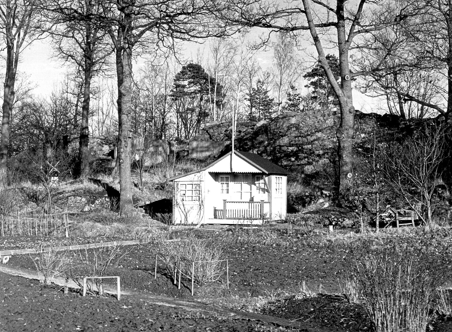 Koloniträdgård