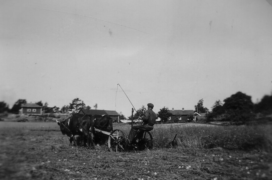 Skördetider på Ålö
